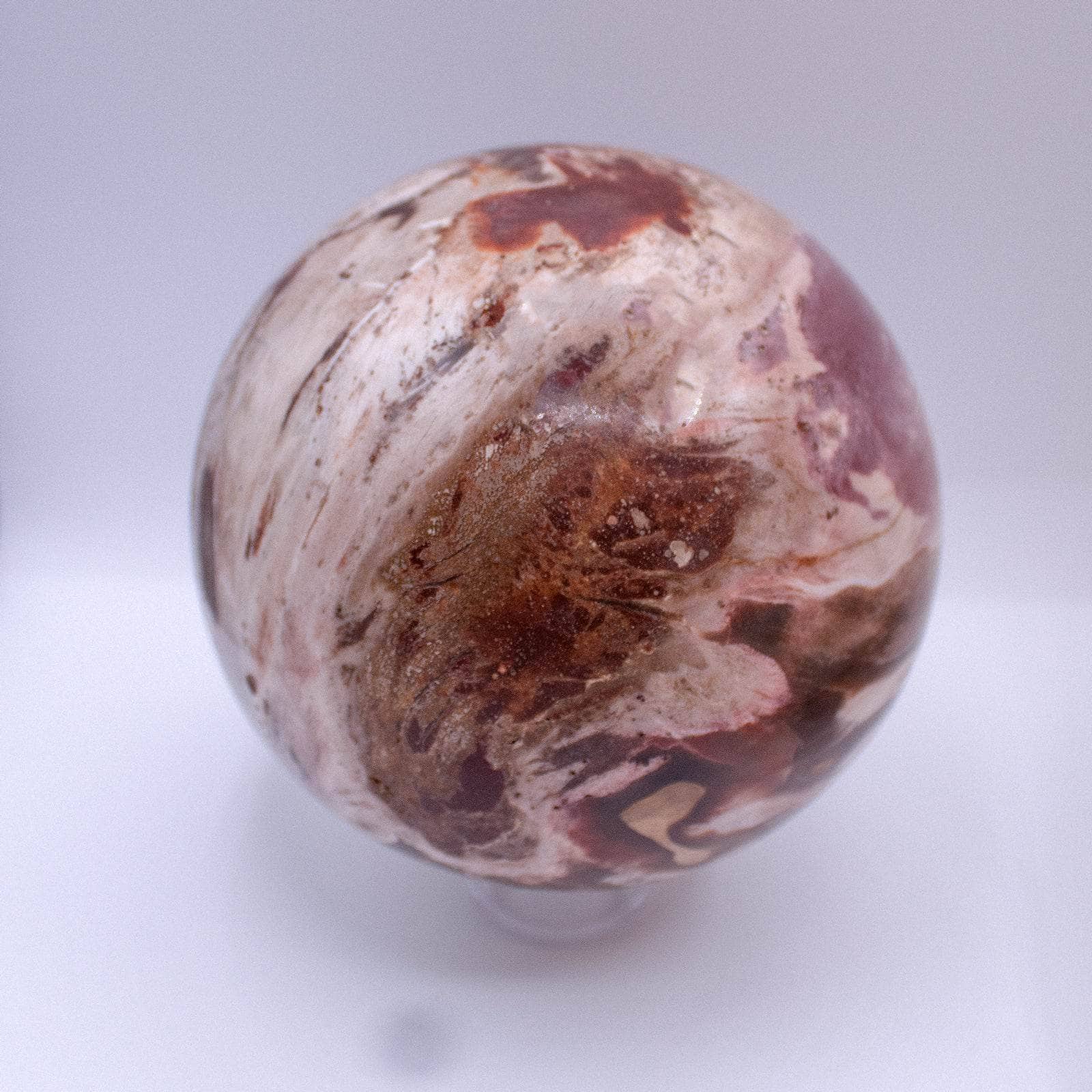 Petrified Wood Sphere