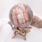 Petrified Wood Sphere