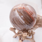 Petrified Wood Sphere