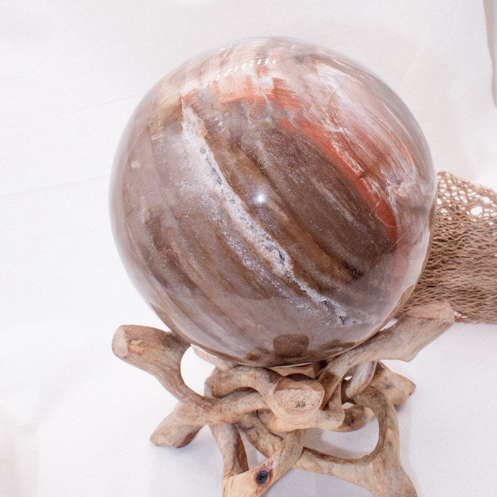 Petrified Wood Sphere