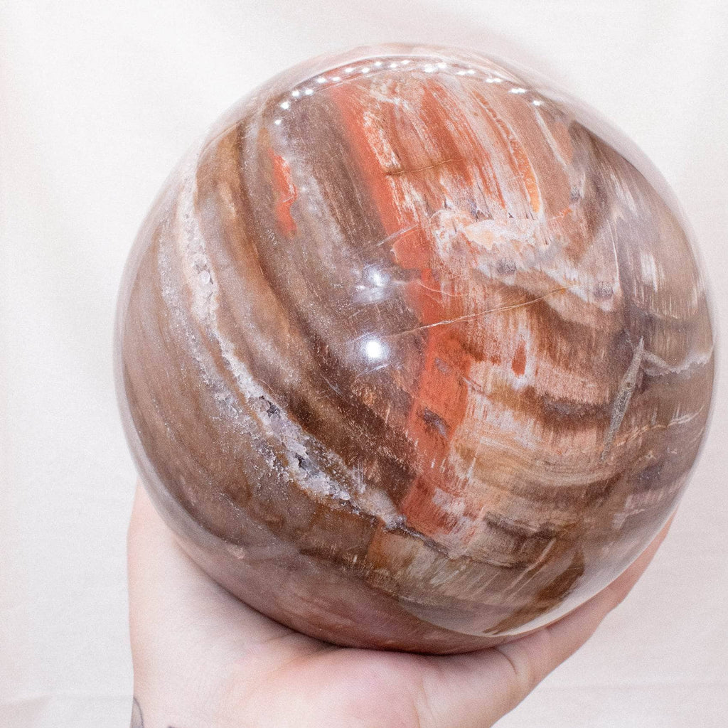 Petrified Wood Sphere
