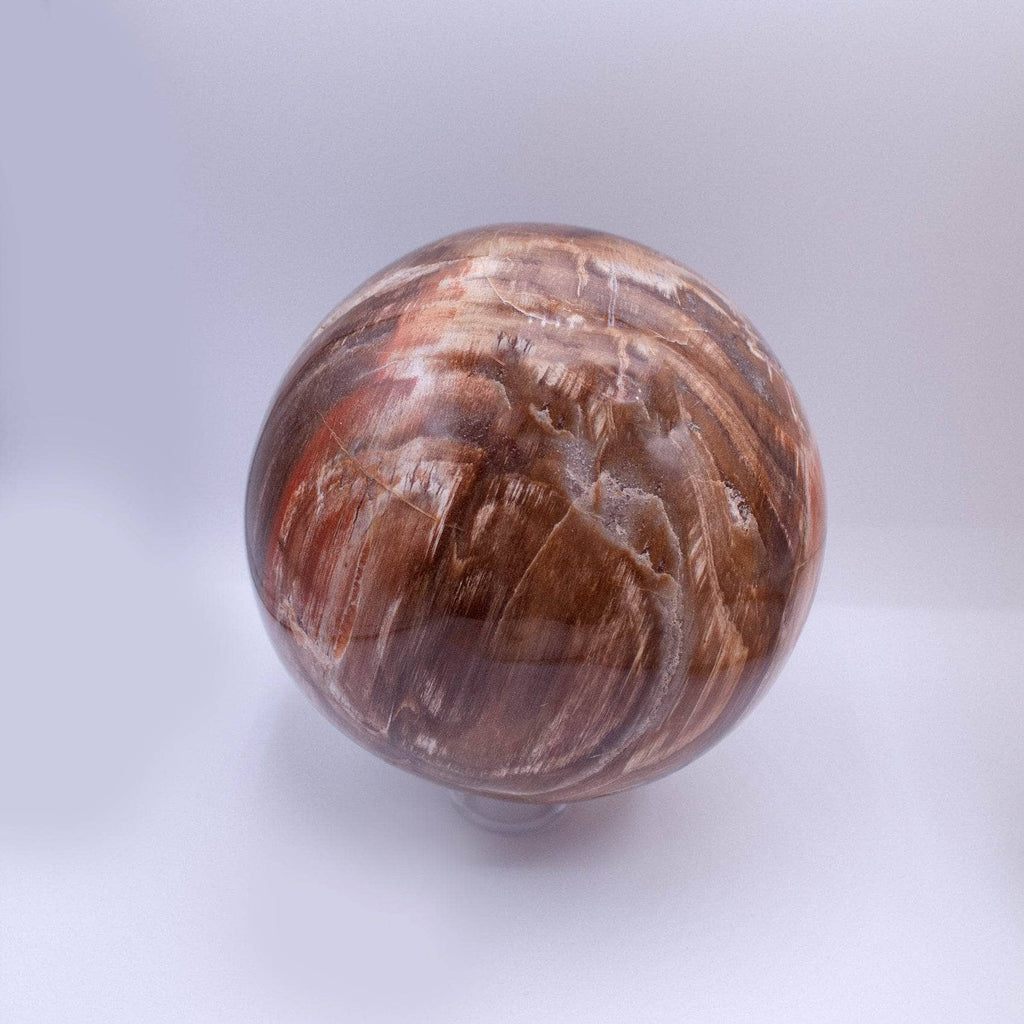 Petrified Wood Sphere