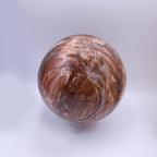 Petrified Wood Sphere