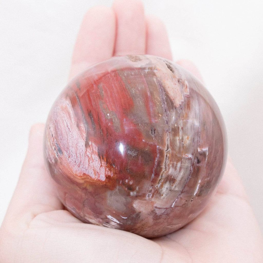 Petrified Wood Sphere