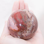 Petrified Wood Sphere