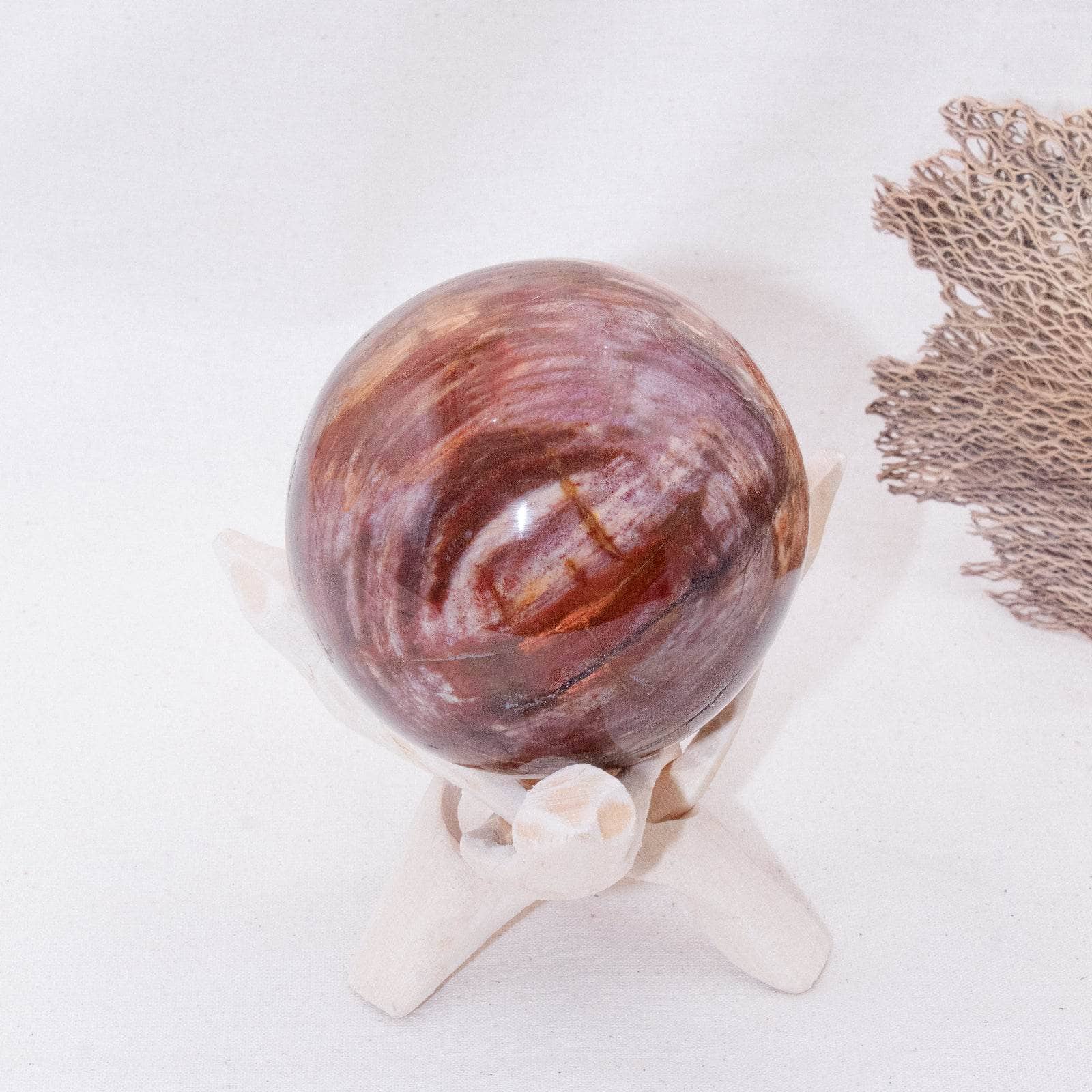 Petrified Wood Sphere