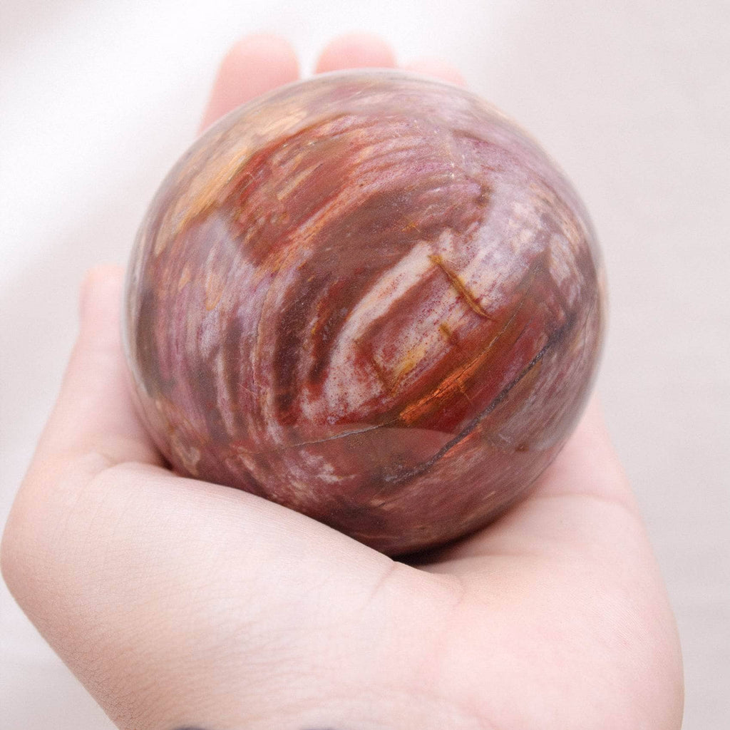 Petrified Wood Sphere