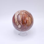 Petrified Wood Sphere