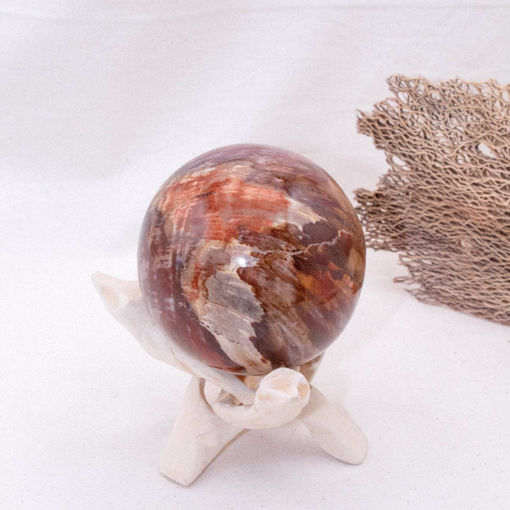 Petrified Wood Sphere