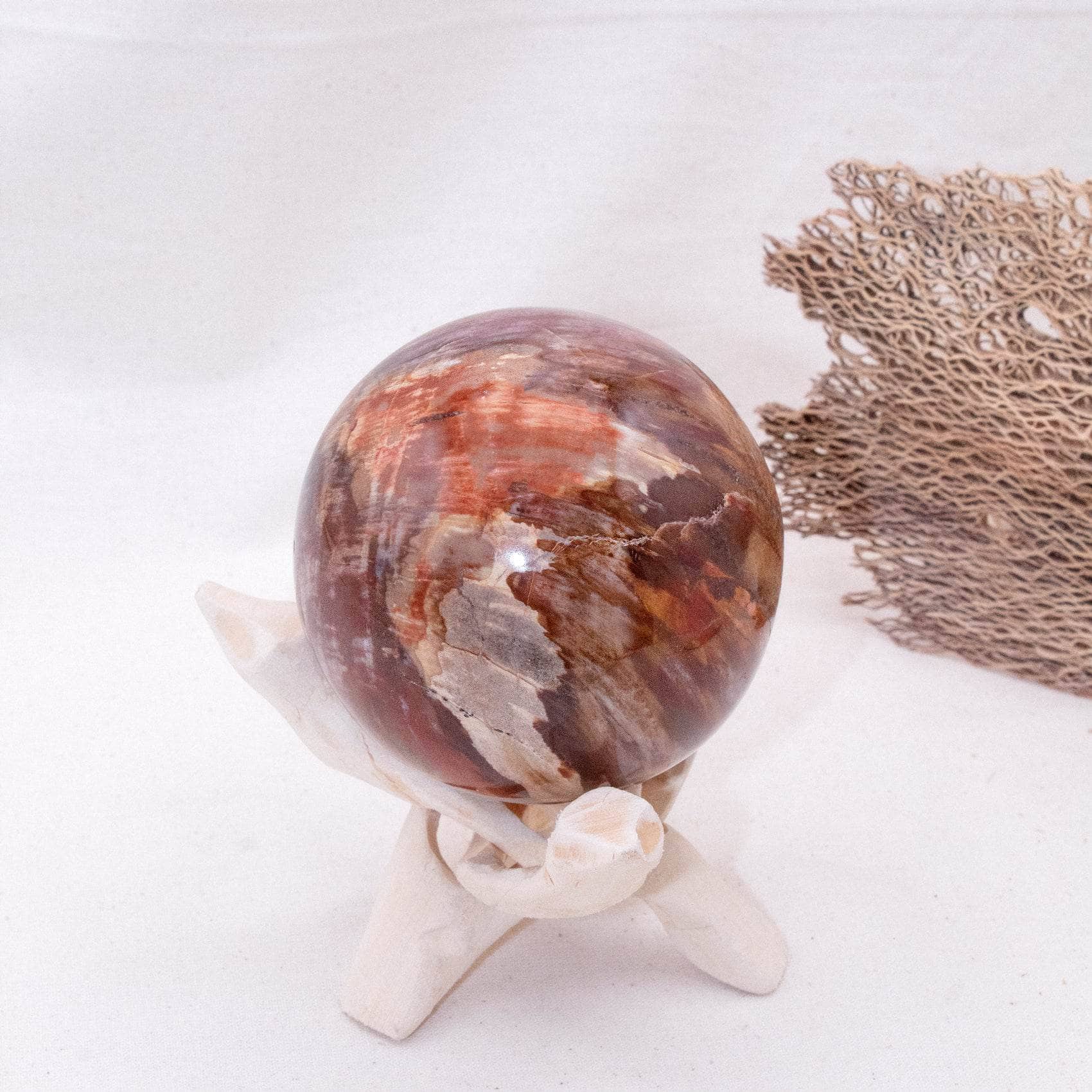 Petrified Wood Sphere