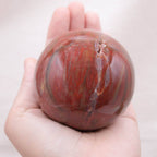 Petrified Wood Sphere