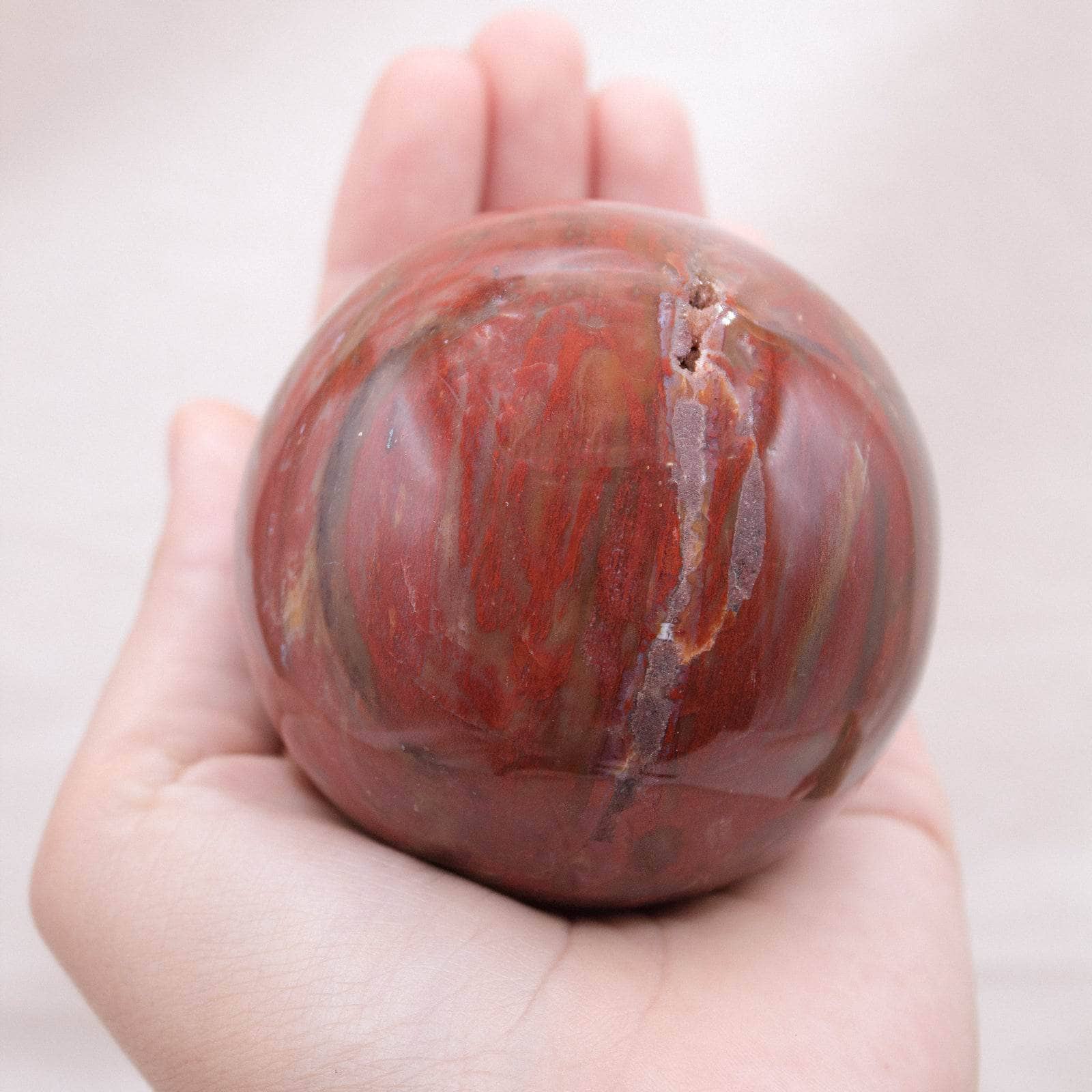 Petrified Wood Sphere