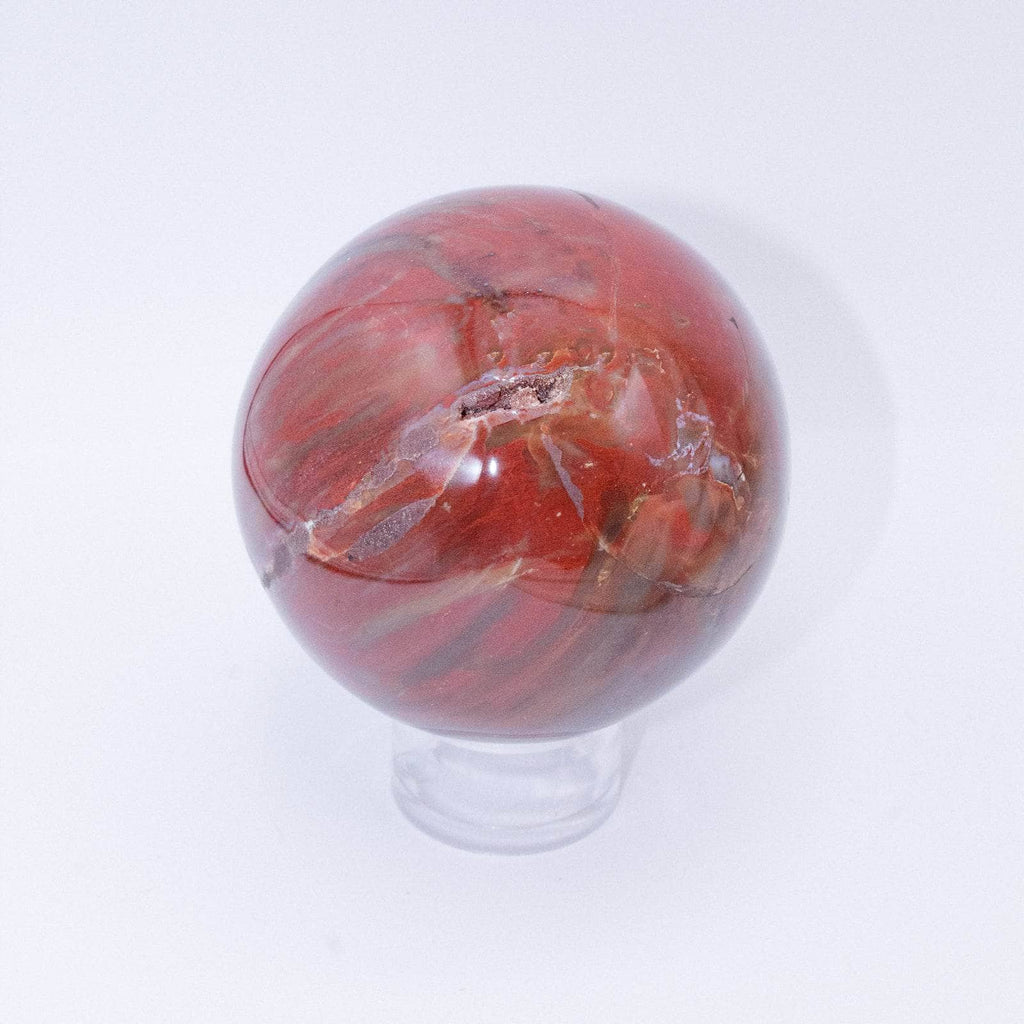 Petrified Wood Sphere