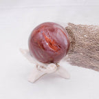 Petrified Wood Sphere