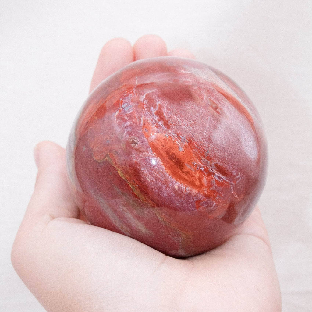 Petrified Wood Sphere