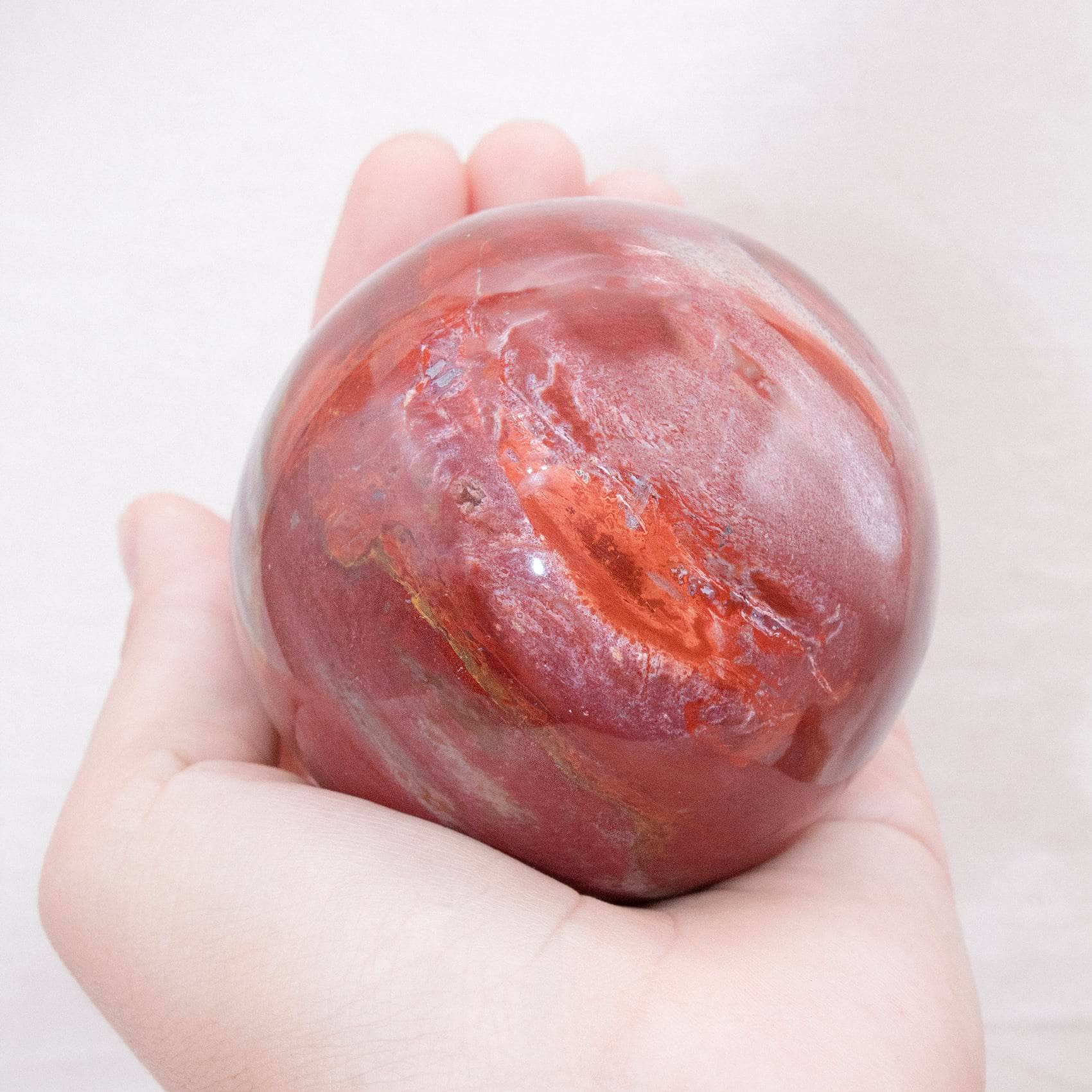 Petrified Wood Sphere