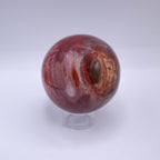 Petrified Wood Sphere