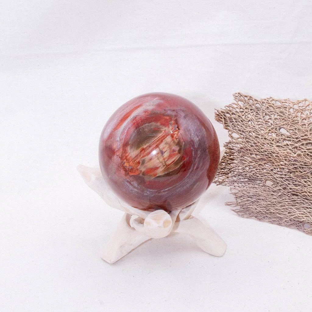 Petrified Wood Sphere