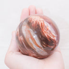 Petrified Wood Sphere