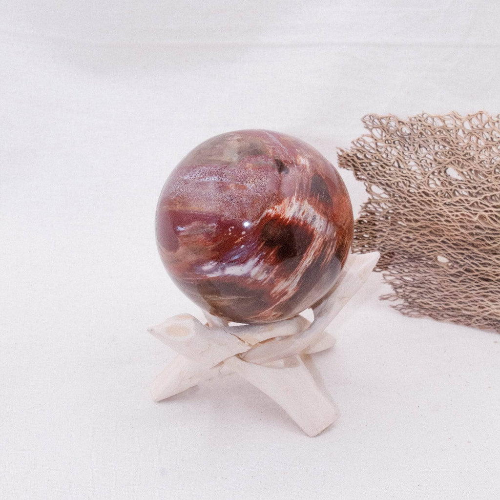 Petrified Wood Sphere