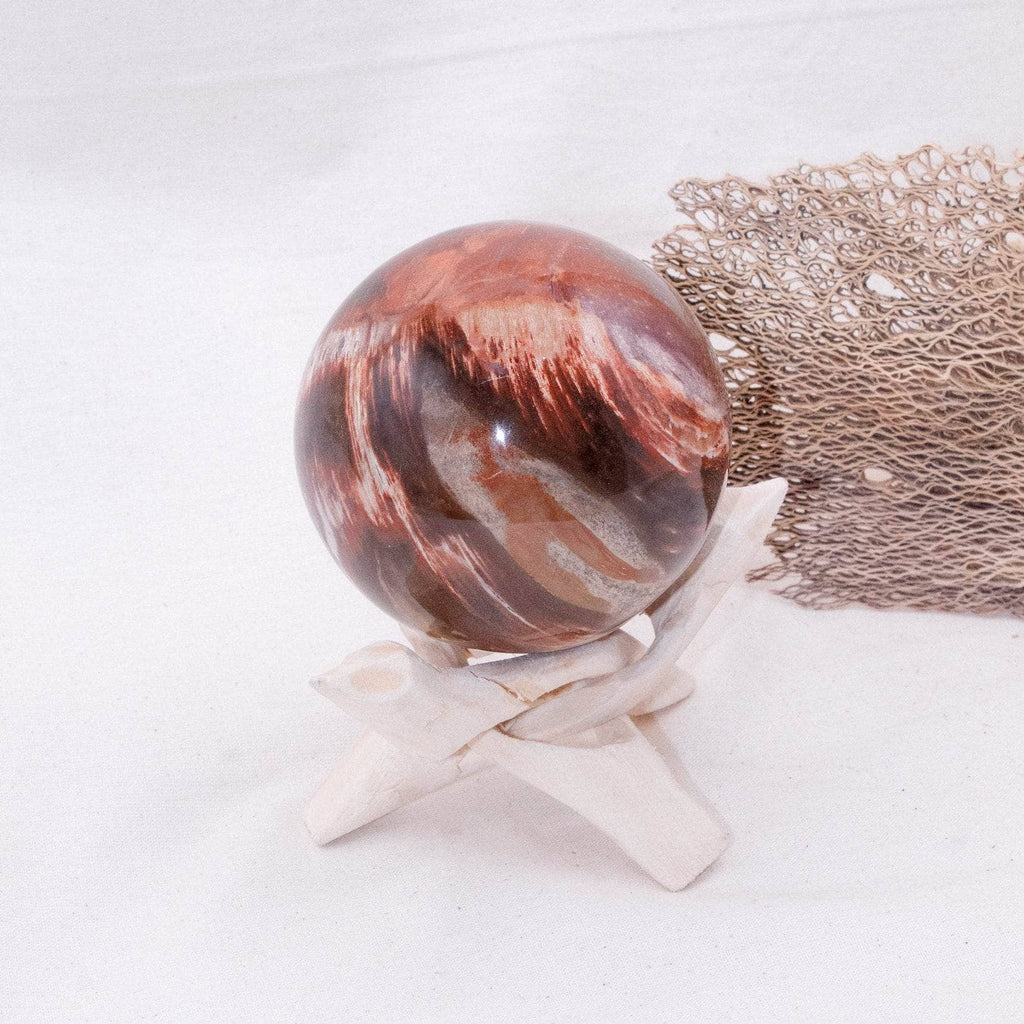 Petrified Wood Sphere