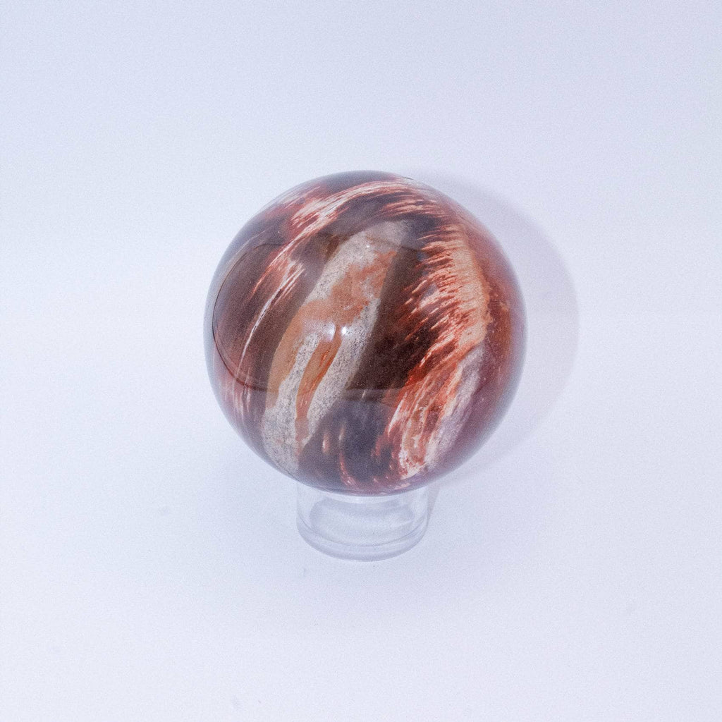Petrified Wood Sphere