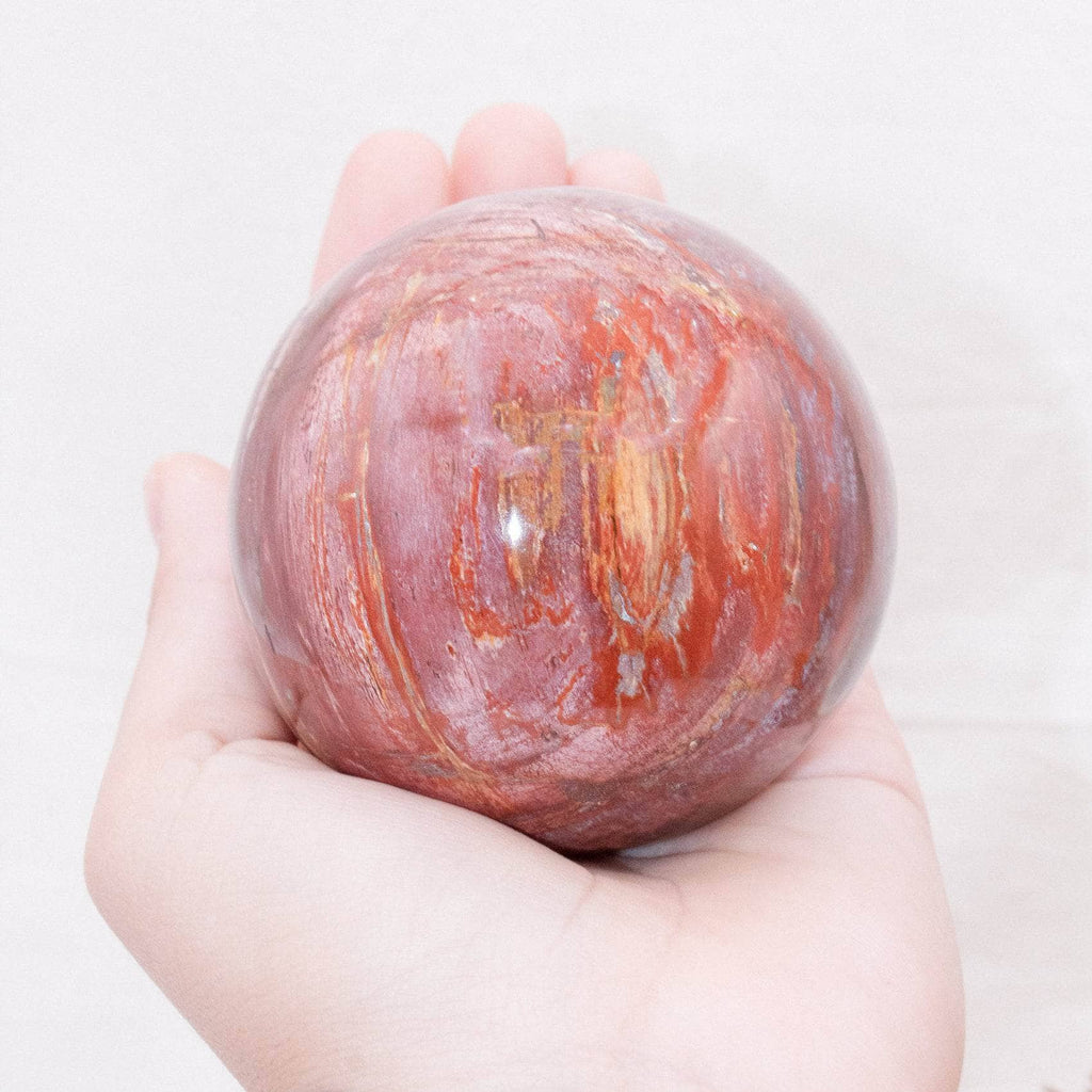 Petrified Wood Sphere