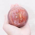 Petrified Wood Sphere