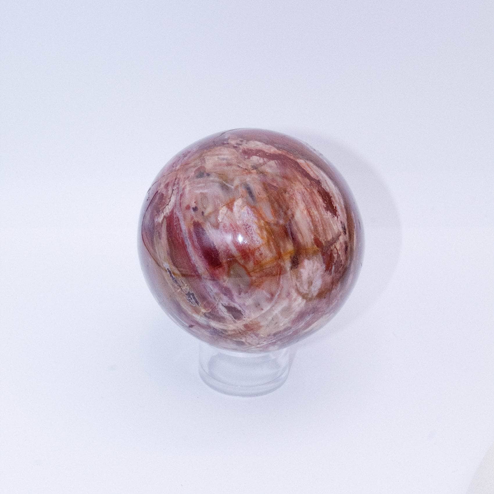 Petrified Wood Sphere