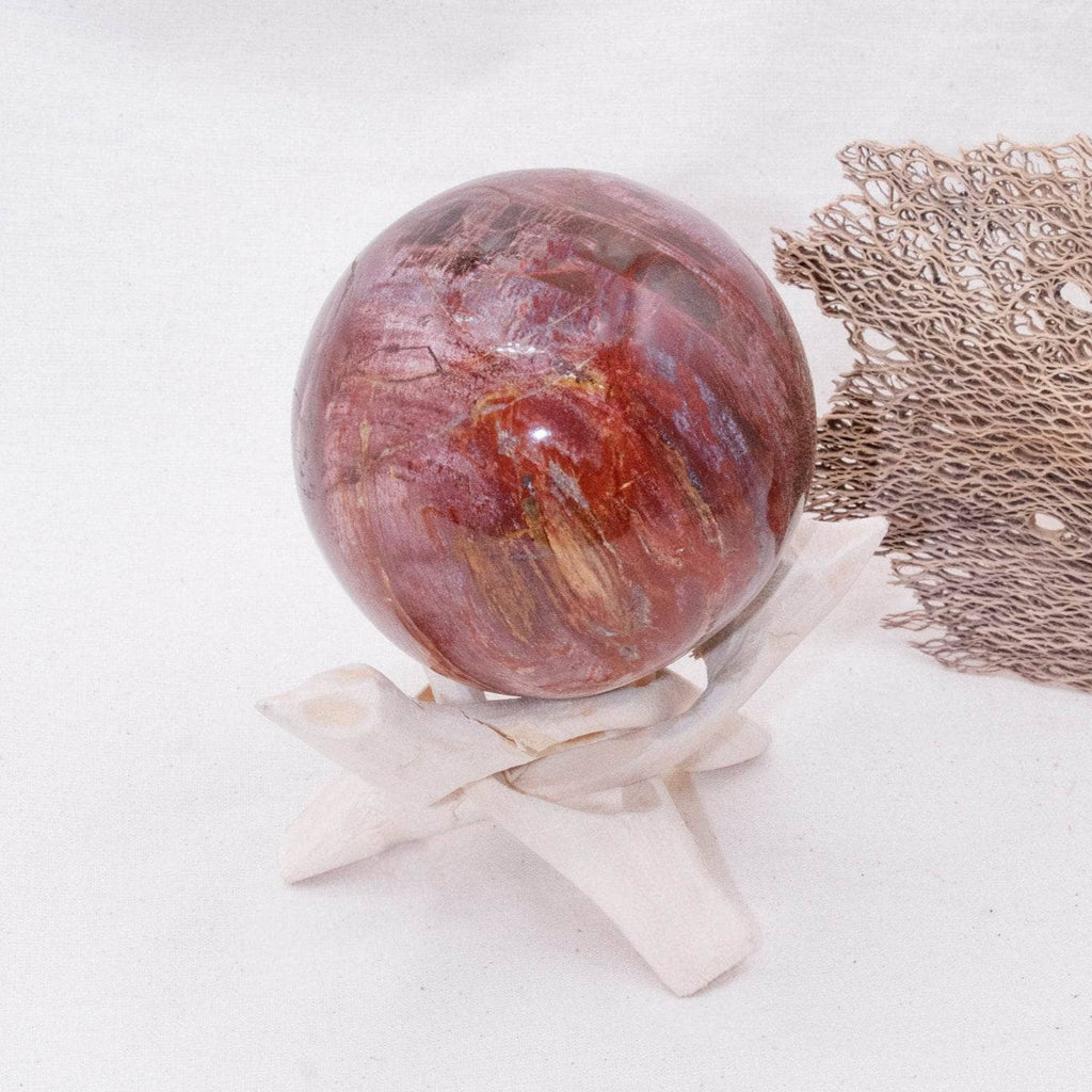 Petrified Wood Sphere