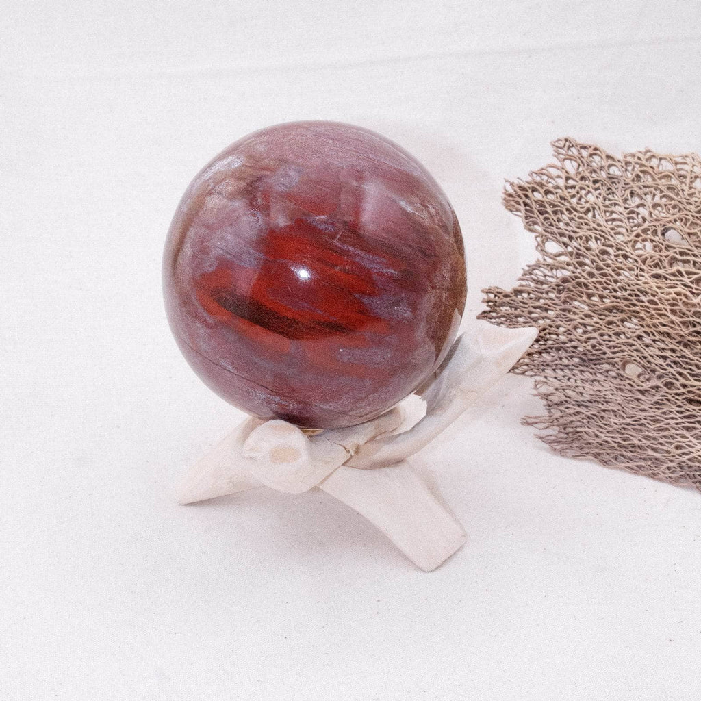 Petrified Wood Sphere
