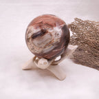 Petrified Wood Sphere