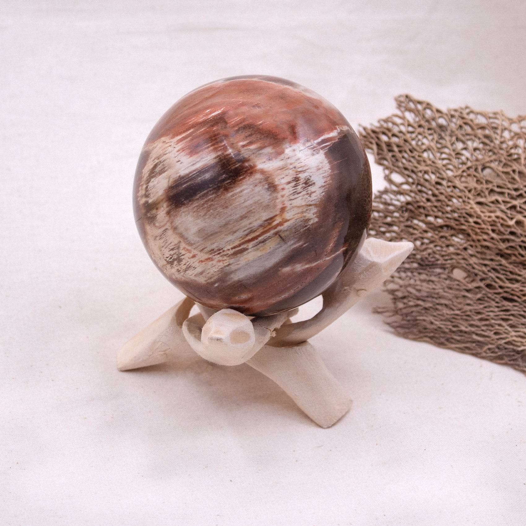 Petrified Wood Sphere