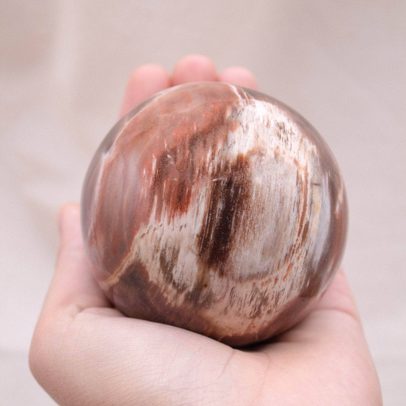 Petrified Wood Sphere
