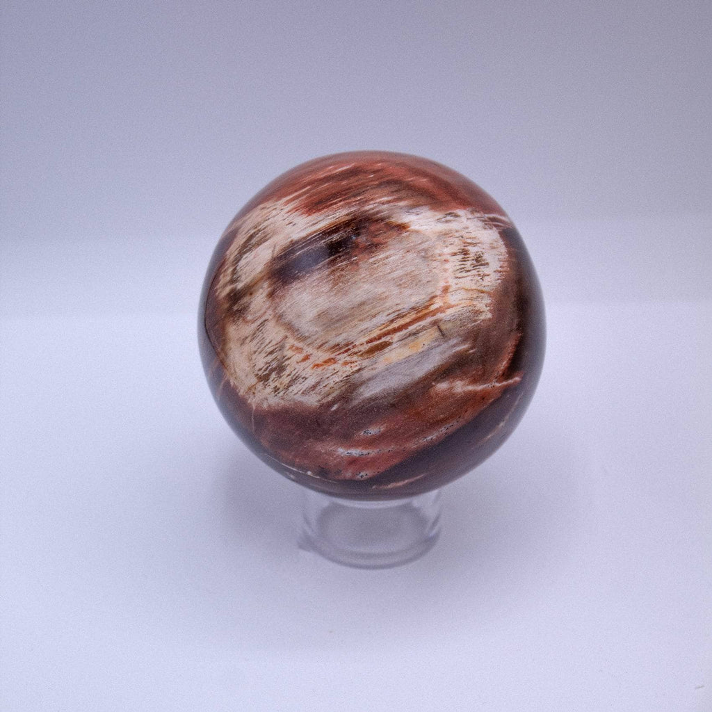 Petrified Wood Sphere
