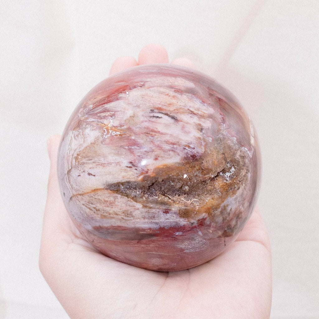 Petrified Wood Sphere