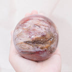 Petrified Wood Sphere