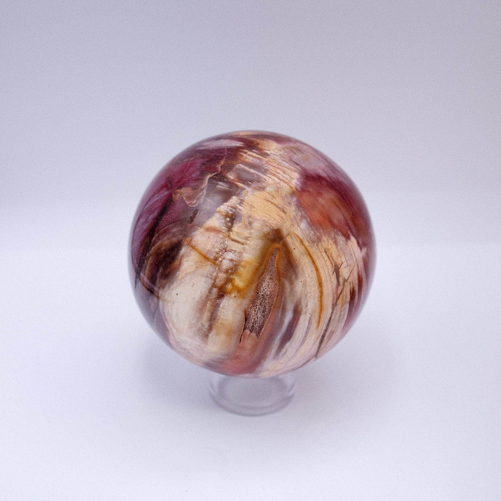 Petrified Wood Sphere