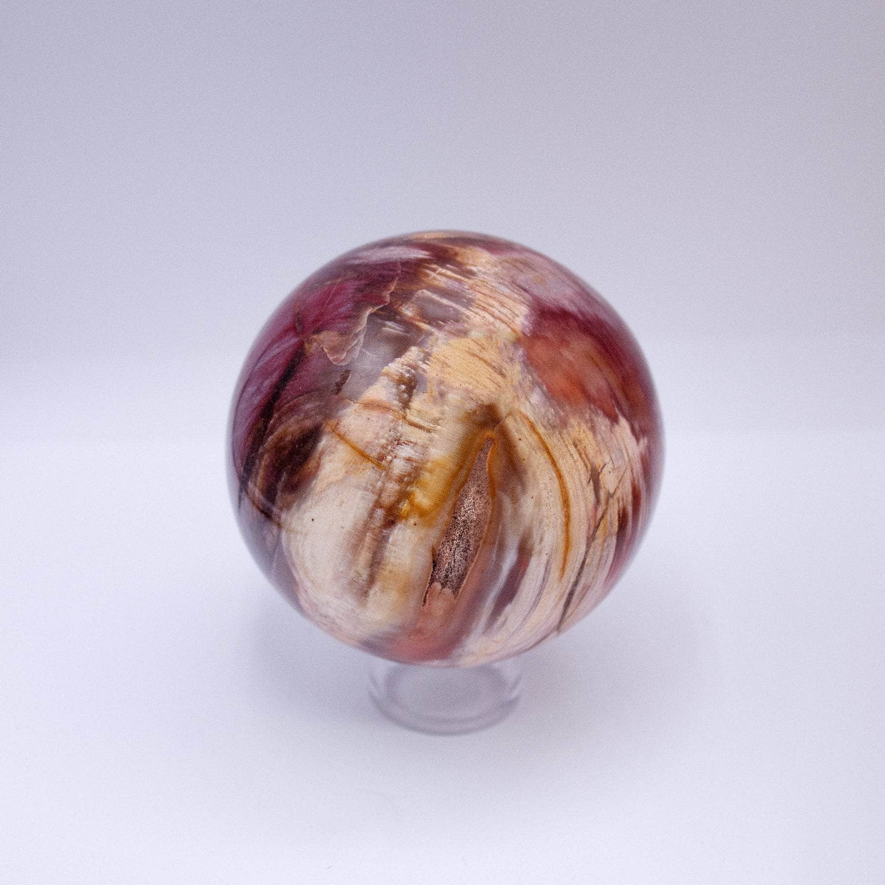 Petrified Wood Sphere