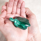 Genuine Malachite Turtles- Hand Carved - 1 of a Kind