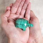 Genuine Malachite Turtles- Hand Carved - 1 of a Kind