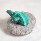 Genuine Malachite Turtles- Hand Carved - 1 of a Kind