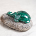 Genuine Malachite Turtles- Hand Carved - 1 of a Kind