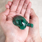 Genuine Malachite Turtles- Hand Carved - 1 of a Kind