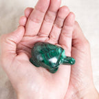 Genuine Malachite Turtles- Hand Carved - 1 of a Kind