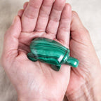 Genuine Malachite Turtles- Hand Carved - 1 of a Kind