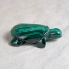Genuine Malachite Turtles- Hand Carved - 1 of a Kind