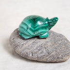Genuine Malachite Turtles- Hand Carved - 1 of a Kind