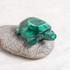 Genuine Malachite Turtles- Hand Carved - 1 of a Kind