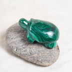 Genuine Malachite Turtles- Hand Carved - 1 of a Kind